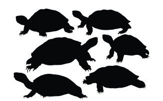 Wild tortoise crawling silhouette vector