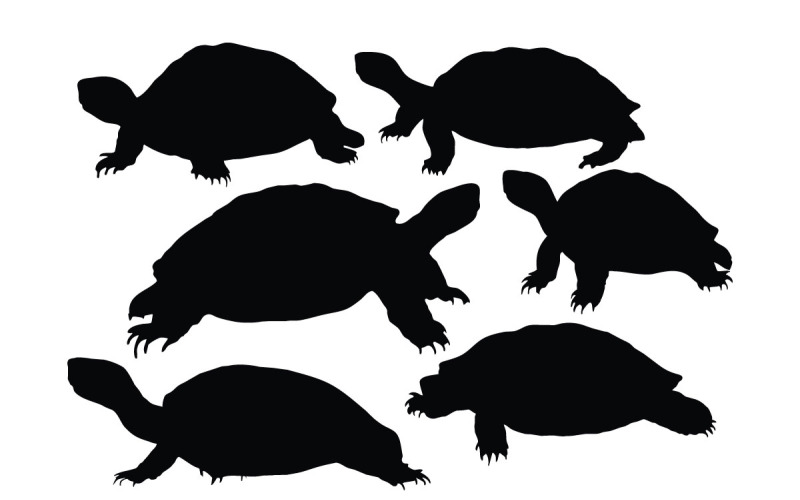 Wild tortoise crawling silhouette vector Illustration