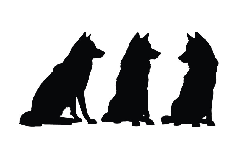 Wolves pack silhouette collection vector Illustration