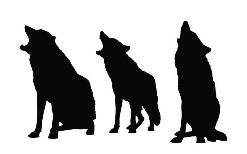 Wolves sitting silhouette set vector Illustration