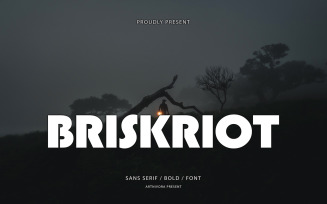Briskriot - Sans Serif Font