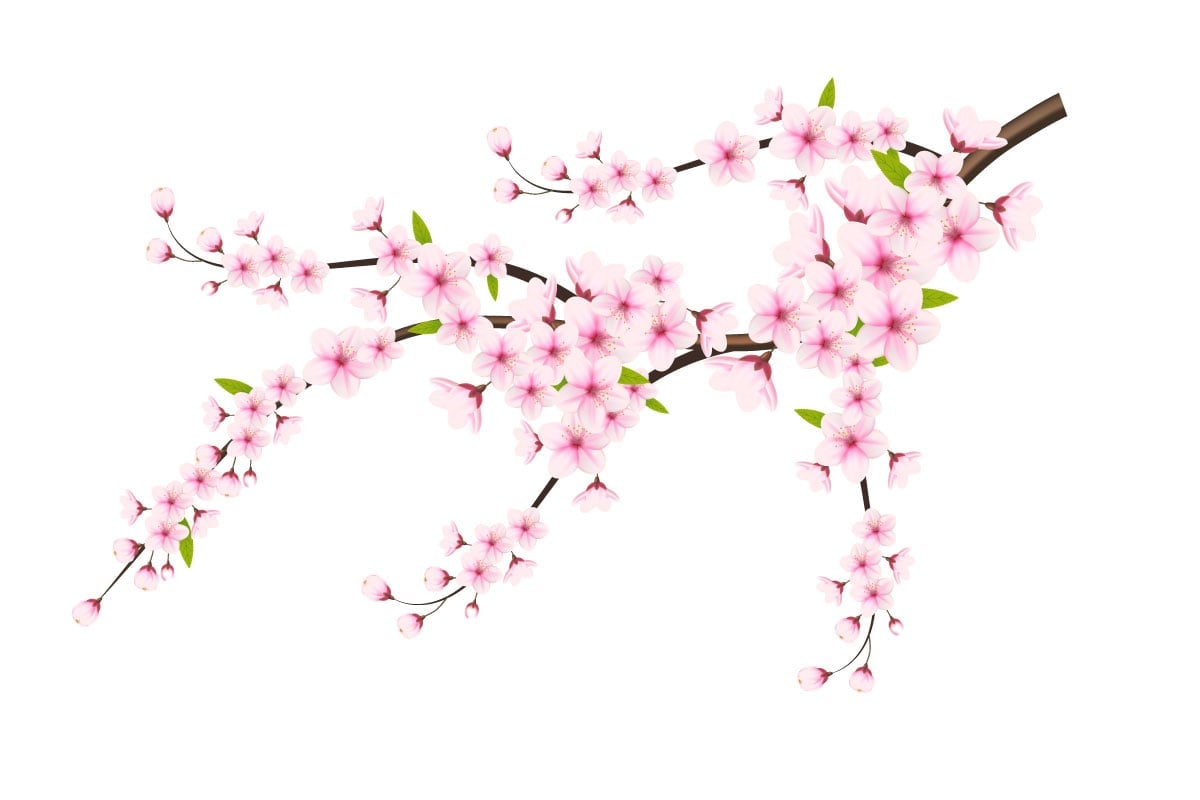 Kit Graphique #339628 Japanese Sakura Divers Modles Web - Logo template Preview