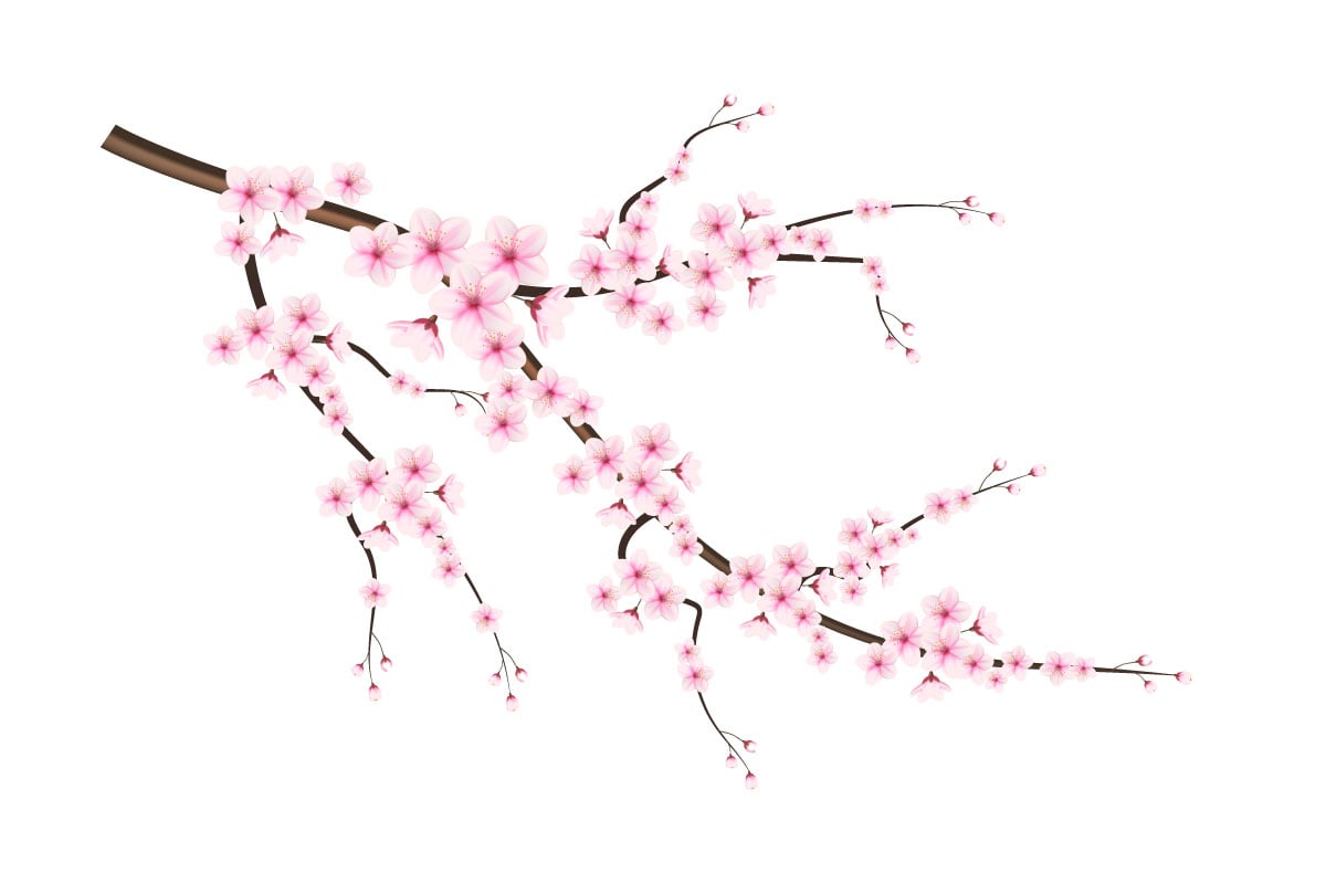 Kit Graphique #339633 Japanese Sakura Divers Modles Web - Logo template Preview