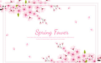 Cherry flowers white frame and petals illustration,cherry blossom vector. pink sakura flower