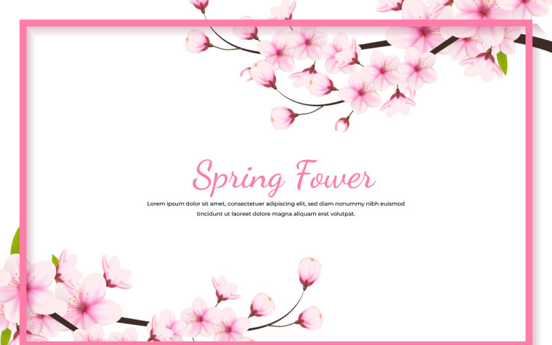 Realistic blooming cherry flowers frame and petals illustration,cherry blossom vector. sakura flower Illustration
