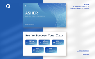 Asher, Professional Gradient Insurance Company Presentation