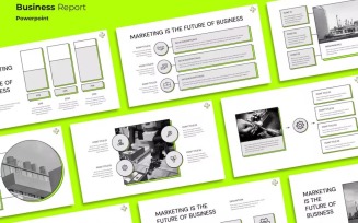CANICE - Business Report Powerpoint