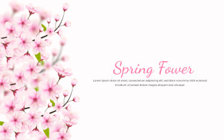 Cherry blossom sakura branch isolated on white background. vector illustratio
