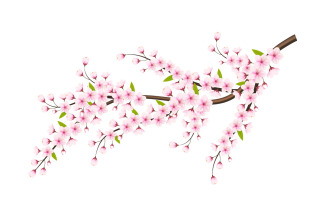 cherry blossom sakura branch isolated on white background. vector illustration