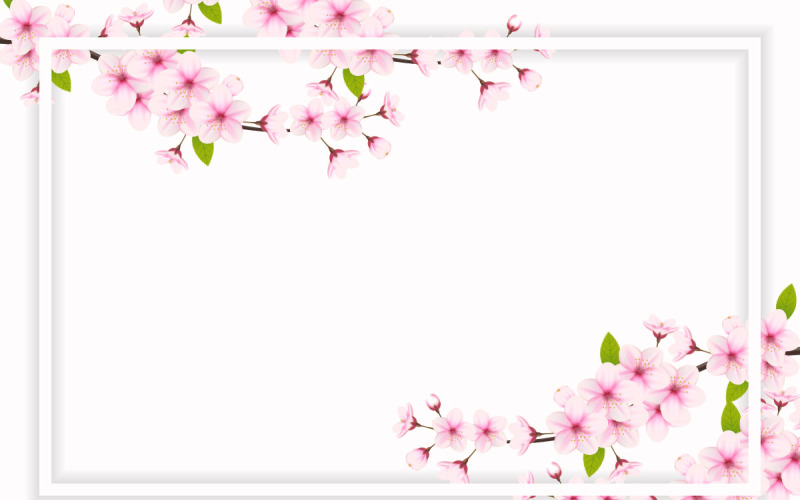 Cherry blossom white frame with space for text. Vector illustration Illustration