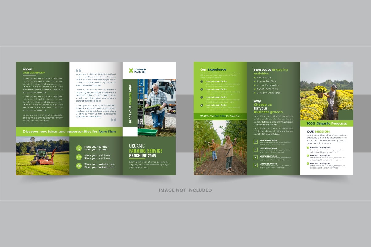 Template #340569 Trifold Brochure Webdesign Template - Logo template Preview