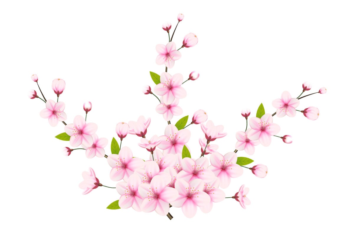 Kit Graphique #340588 Japon Sakura Web Design - Logo template Preview