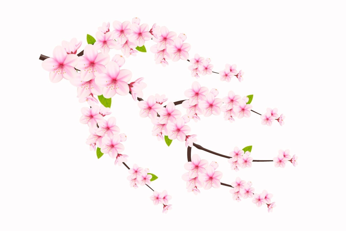 Kit Graphique #340589 Japon Sakura Web Design - Logo template Preview