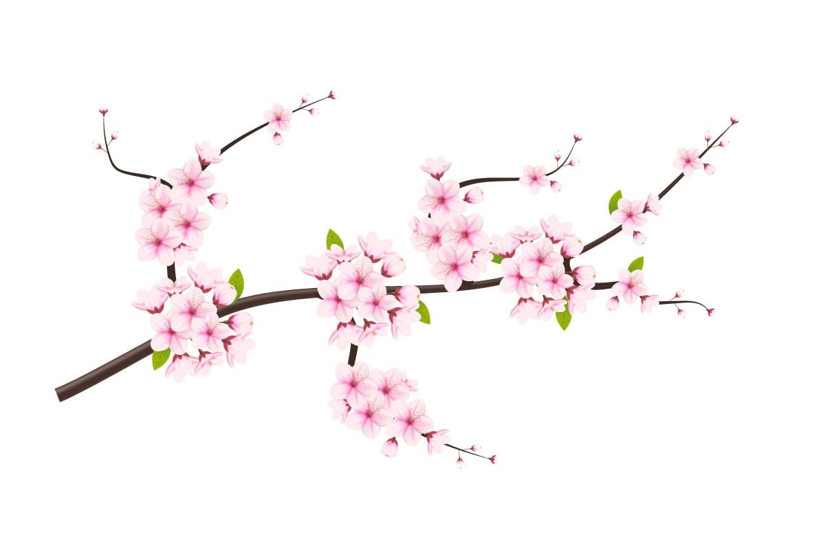 Template #340590 Japan Sakura Webdesign Template - Logo template Preview