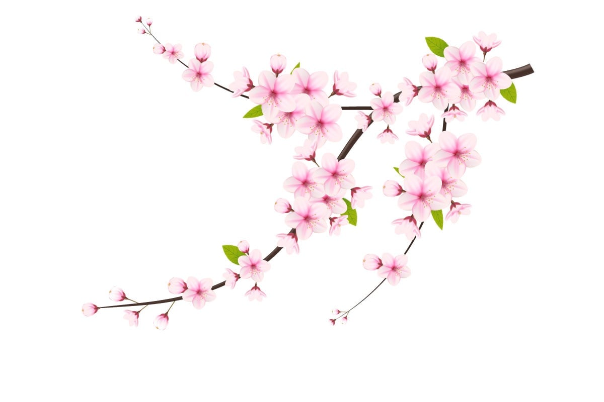 Template #340593 Japan Sakura Webdesign Template - Logo template Preview