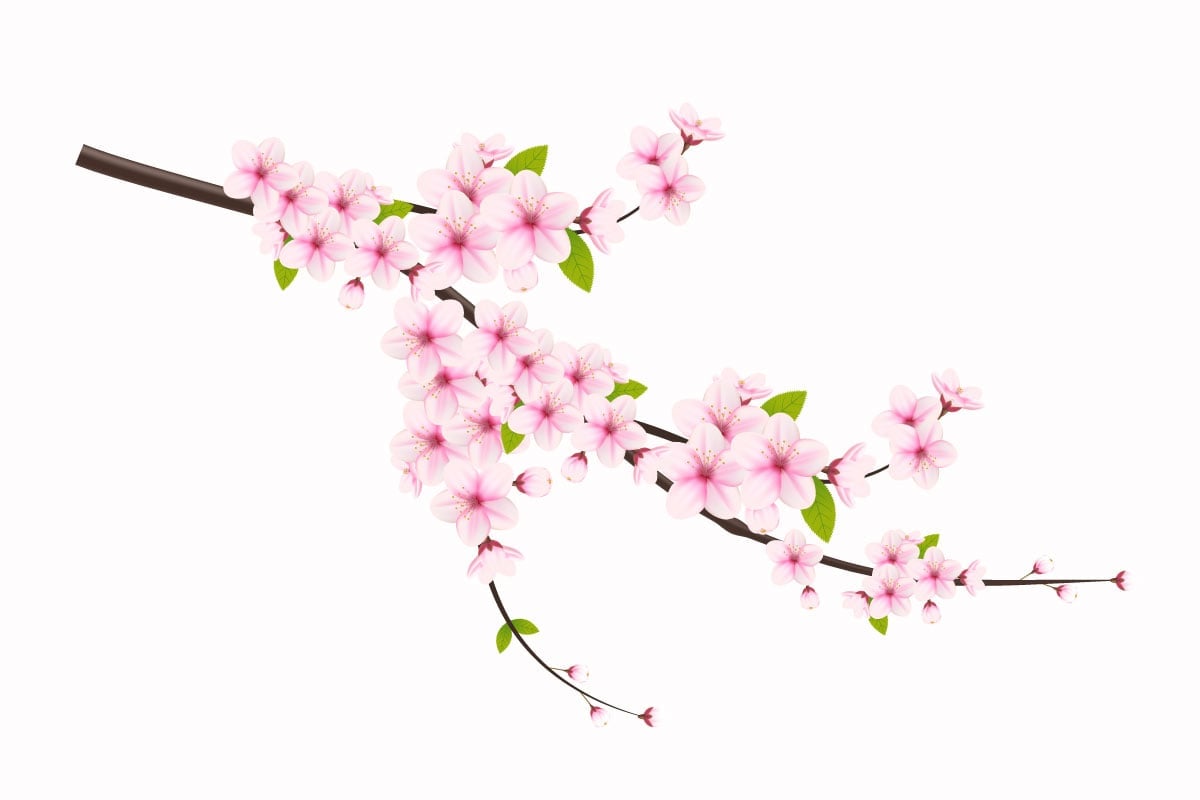 Template #340597 Blossom Flower Webdesign Template - Logo template Preview
