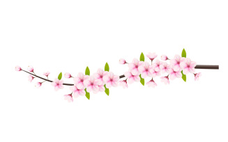 Cherry blossom branch with sakura flower. cherry blossom vector. cherry buds. sakura flower