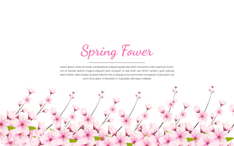 Spring Sakura branch background Vector illustration. Pink Cherry blossom vector Illustration
