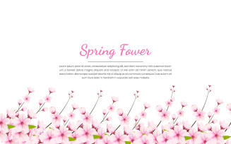 Spring Sakura branch background Vector illustration. Pink Cherry blossom vector
