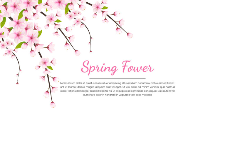 Spring Sakura branch background Vector illustration. Pink Cherry blossoms Illustration
