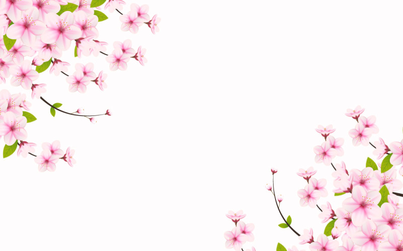 Spring Sakura branch background Vector illustration. Pink Cherry Illustration
