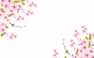 Spring Sakura branch background Vector illustration. Pink Cherry