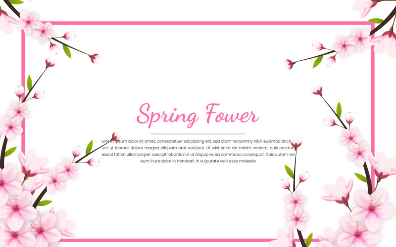 vector Sakura branch background Vector illustration. Pink Cherry blossom white background Illustration