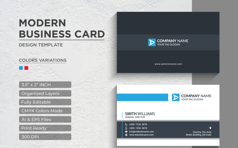 Simple Professional Business Cards - Corporate Identity Template V.05