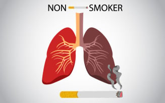 Non smoker and smoker lungs Illustration template