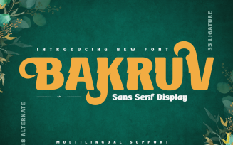BAKRUV | Serif Classic Modernism
