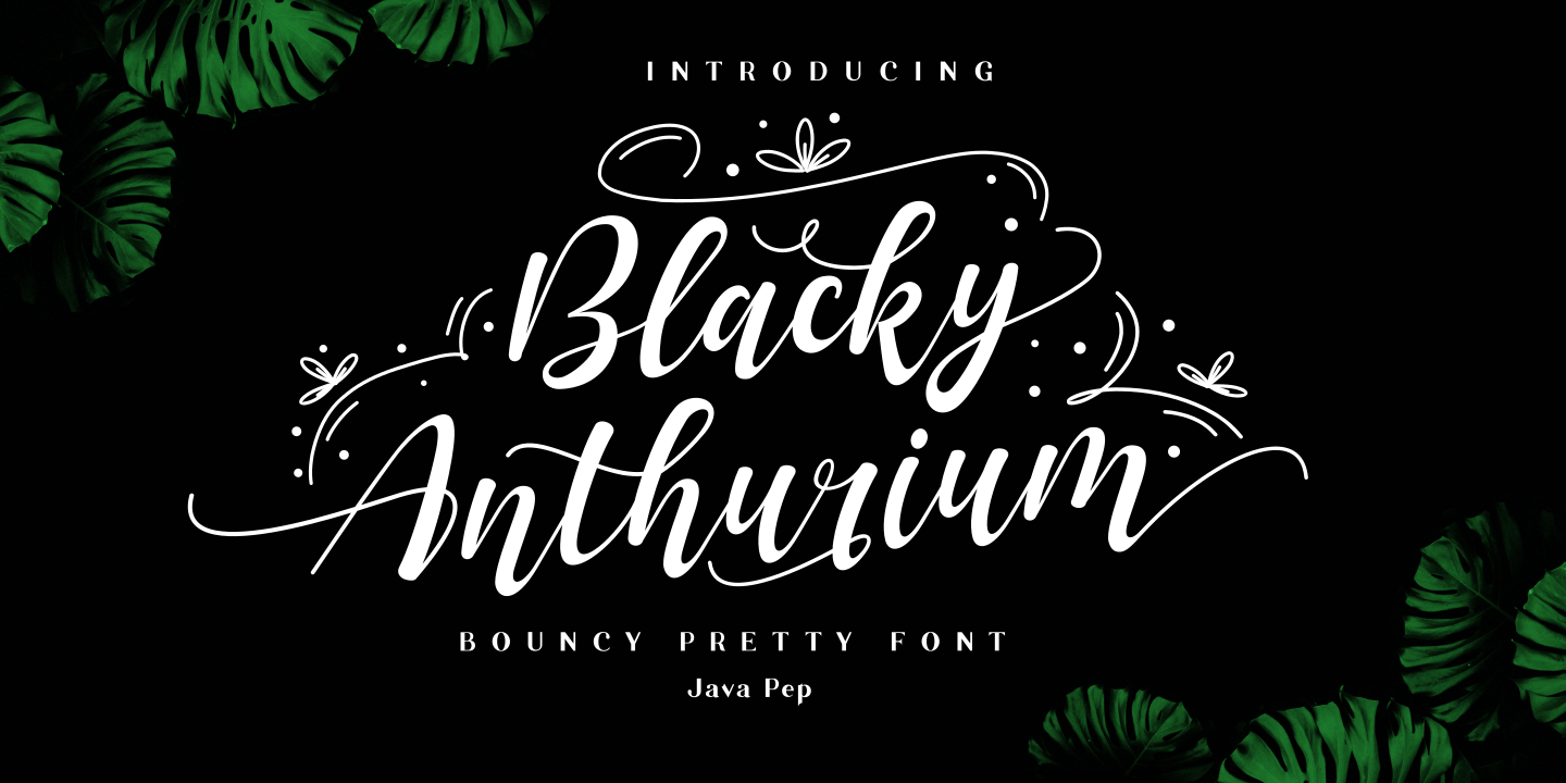 Blacky Anthurium / bouncy pretty font