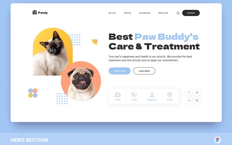 Pawly - Pet Care Hero Section Figma Template UI Element