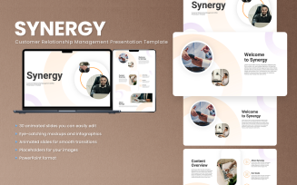 Synergy Animated Customer Relationship Management (CRM)