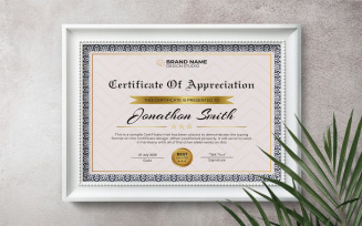 Modern Appreciation Certificate with Classic Frame