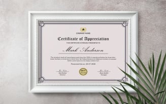 Professional Business Appreciation certificate