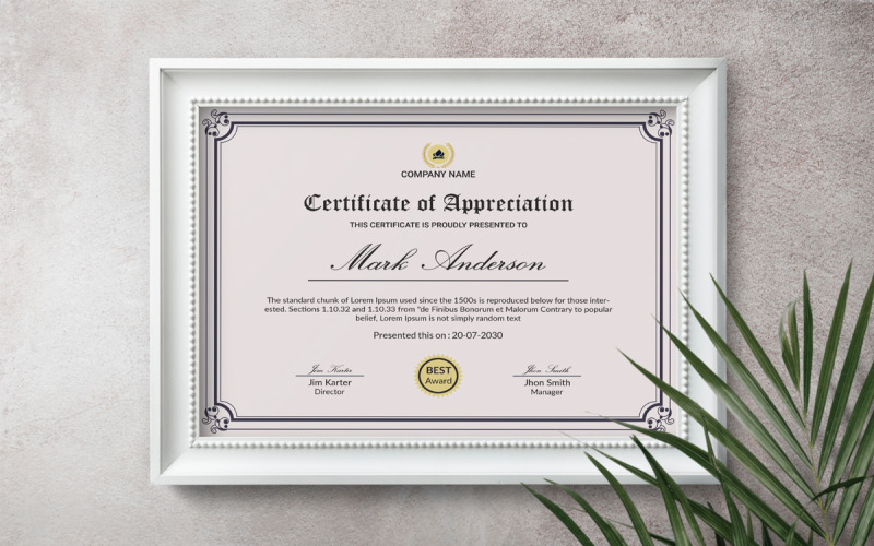Professional Business Appreciation certificate Certificate Template