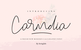 "Carmelia - Modern Calligraphy" Lettertype №104095