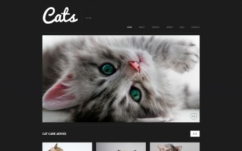 Responsive WordPress thema over Katten №50613