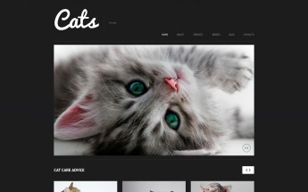 Tema WordPress Responsive #50613 per Un Sito di Gatti