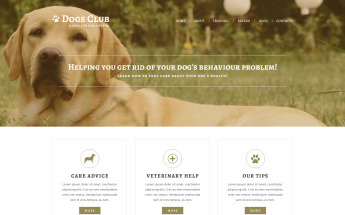 Animals Pets №51221