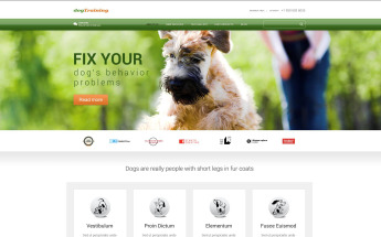 Responsive Köpek Wordpress #52440