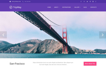 Tema De WordPress Responsive para Sitio de Agencias de viajes #53493