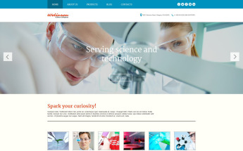 Tema De WordPress "Welinson" #54046