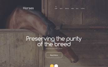 Stud Farm Drupal Template