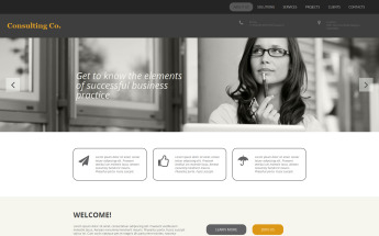 Responsive Danışmanlık Moto Cms 3 #54901