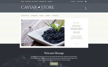 Caviar Store OpenCart Template