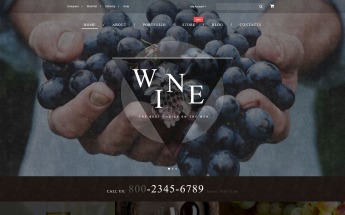 "Wine" thème WooCommerce adaptatif #55427