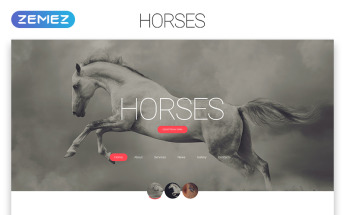 Best Horse Website Templates | Horse HTML Templates