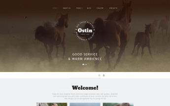 Responsive Ostin Joomla #58082