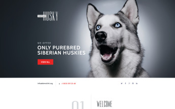 Responsivt Canine Landing Page-mall #58457
